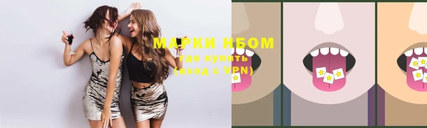 мяу мяу мука Аркадак