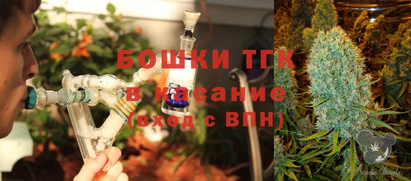 мяу мяу мука Аркадак
