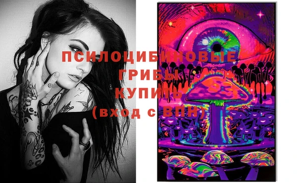 мяу мяу мука Аркадак