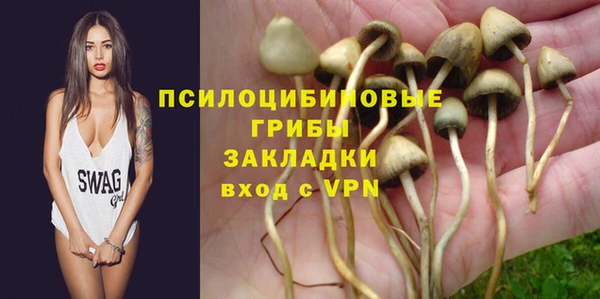 мяу мяу мука Аркадак