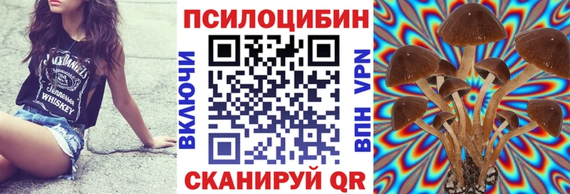 Псилоцибиновые грибы ЛСД  купить закладку  МЕГА   Зуевка 