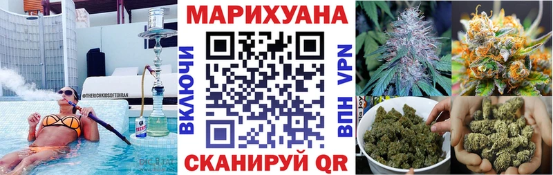 Конопля гибрид Зуевка